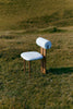 Hippo Chair | Outdoor